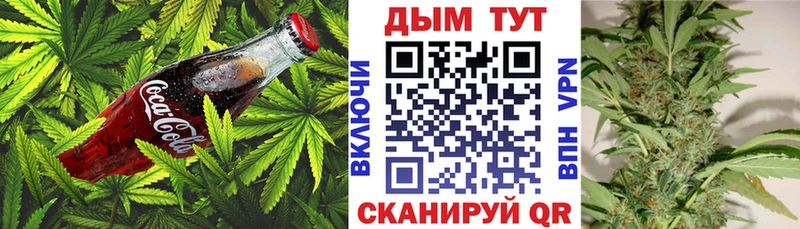 Печенье с ТГК конопля дарнет шоп Краснозаводск