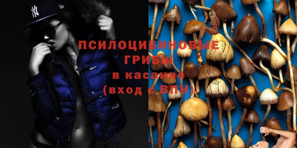 стафф Слюдянка