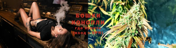 прущие крисы Приозерск