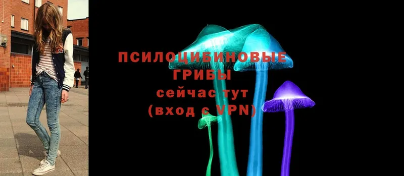 Галлюциногенные грибы MAGIC MUSHROOMS  Краснозаводск 